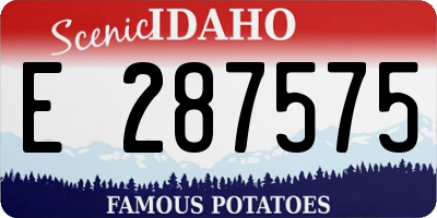 ID license plate E287575