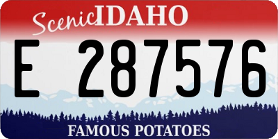 ID license plate E287576