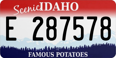 ID license plate E287578