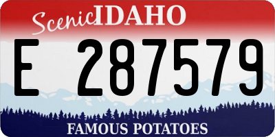 ID license plate E287579