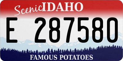 ID license plate E287580