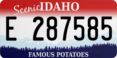 ID license plate E287585