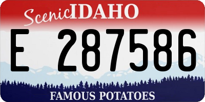 ID license plate E287586