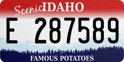 ID license plate E287589