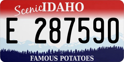 ID license plate E287590