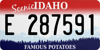 ID license plate E287591