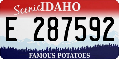 ID license plate E287592