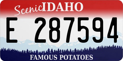 ID license plate E287594