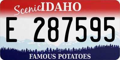 ID license plate E287595