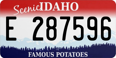ID license plate E287596