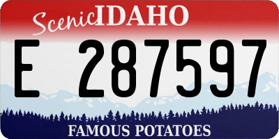 ID license plate E287597
