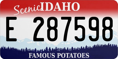 ID license plate E287598
