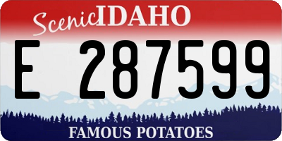 ID license plate E287599