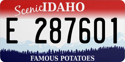 ID license plate E287601