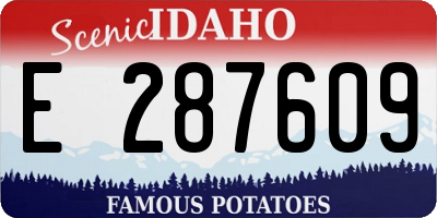ID license plate E287609