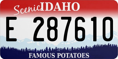 ID license plate E287610