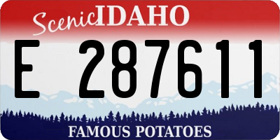 ID license plate E287611