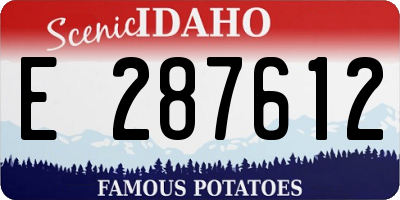 ID license plate E287612