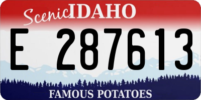 ID license plate E287613
