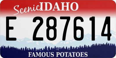 ID license plate E287614