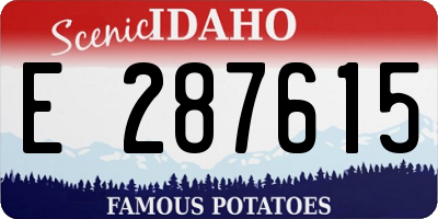 ID license plate E287615