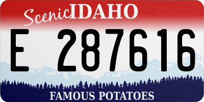 ID license plate E287616
