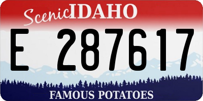 ID license plate E287617
