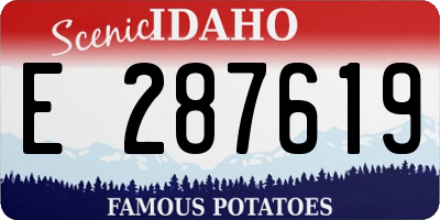 ID license plate E287619