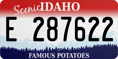 ID license plate E287622