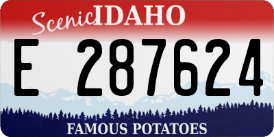 ID license plate E287624
