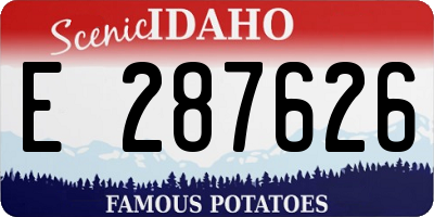 ID license plate E287626