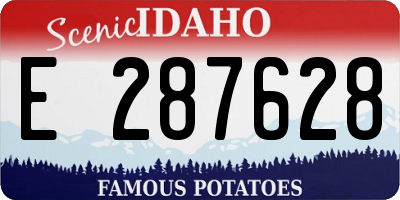 ID license plate E287628