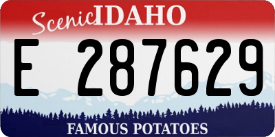 ID license plate E287629