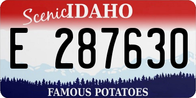 ID license plate E287630