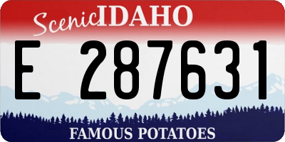 ID license plate E287631