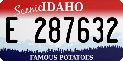ID license plate E287632