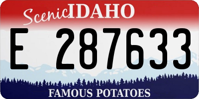 ID license plate E287633