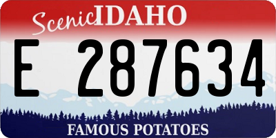 ID license plate E287634
