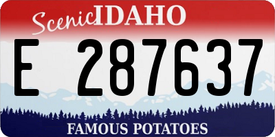 ID license plate E287637