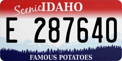 ID license plate E287640