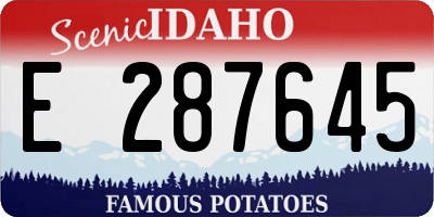 ID license plate E287645