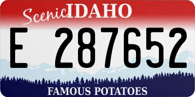ID license plate E287652