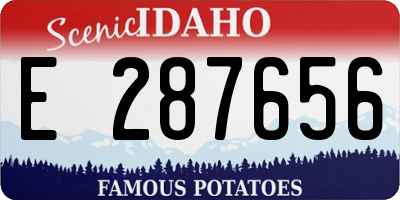 ID license plate E287656