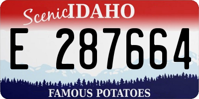 ID license plate E287664