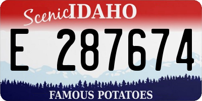 ID license plate E287674