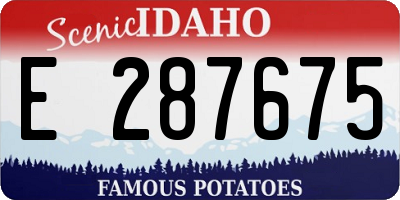 ID license plate E287675