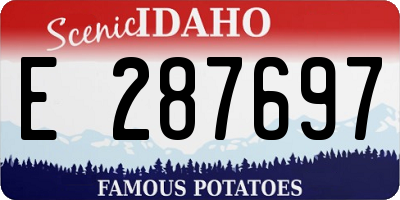 ID license plate E287697