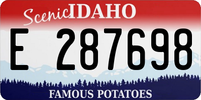ID license plate E287698