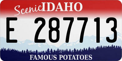 ID license plate E287713