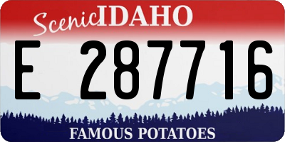 ID license plate E287716